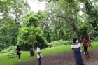 IMG_3333 IMG_3333
