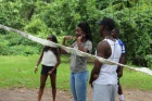 IMG_3342 IMG_3342