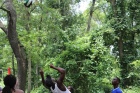 IMG_3355 IMG_3355