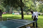 IMG_3390 IMG_3390