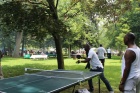 IMG_3391 IMG_3391