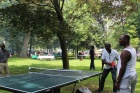 IMG_3392 IMG_3392