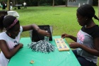 IMG_3538 IMG_3538